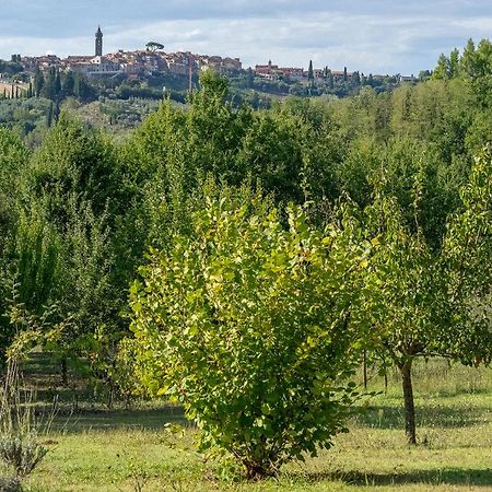 Agriturismo La Valle Peccioli Экстерьер фото